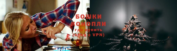 дмт Костерёво
