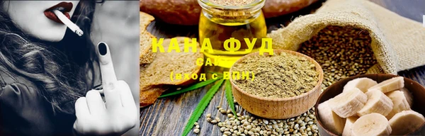 дмт Костерёво