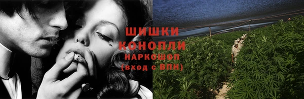 дмт Костерёво