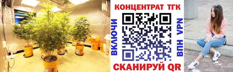 Дистиллят ТГК вейп с тгк  Купить где  Курильск 