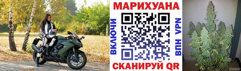 Бошки марихуана OG Kush  Купить где  Курильск 